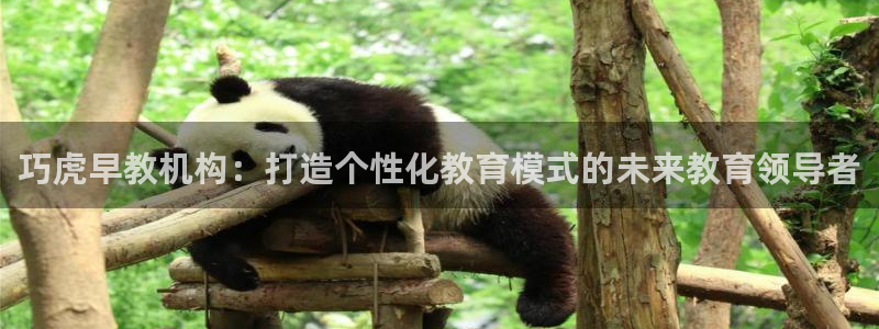 恒行2吴74OOO5：巧虎早教机构：打造个性化教育模式的未来教育领导者