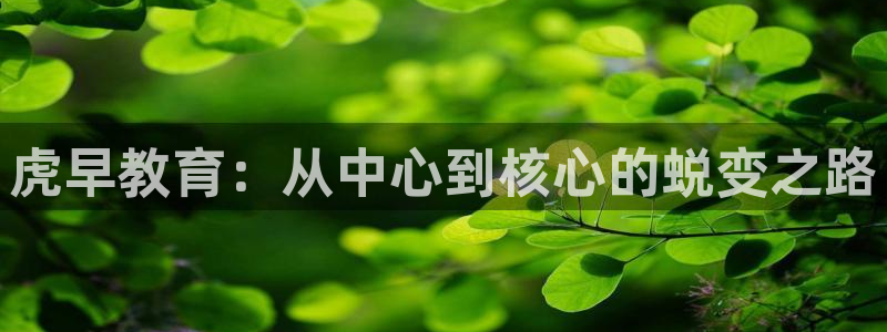 恒行2许74OOO5：虎早教育：从中心到核心的蜕变之路