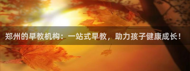 恒行代理总代主导 6ll5l：郑州的早教机构：一站式早教，助力孩子健康成长！