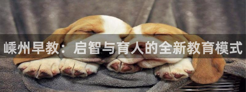 恒行开户娱乐赞议6ll5l：嵊州早教：启智与育人的全新教育模式