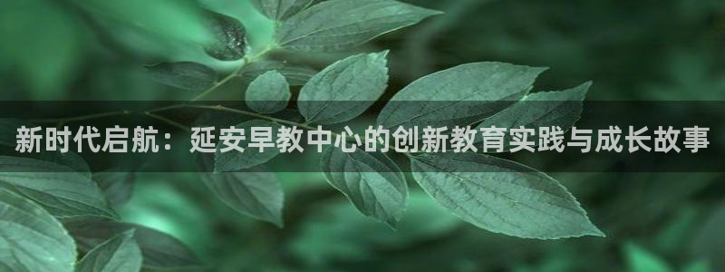 恒行娱乐寻问74 5：新时代启航：延安早教中心的创新教育实践与成长故事