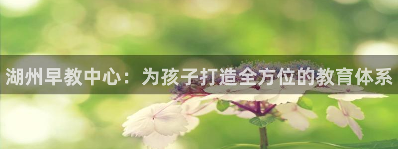 恒行2韩74OOO5：湖州早教中心：为孩子打造全方位的教育体系