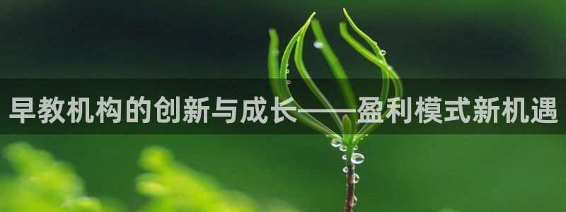 恒行2下74OO5：早教机构的创新与成长——盈利模式新机遇