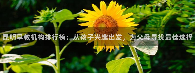 恒行娱乐吕74OOO5：昆明早教机构排行榜：从孩子兴趣出发，为父母寻找最佳选择