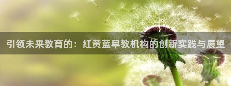 恒行娱乐蒋74OOO5：引领未来教育的：红黄蓝早教机构的创新实践与展望