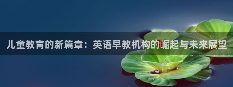 恒行代理总代主导 6ll5l：儿童教育的新篇章：英语早教机构的崛起与未来展望