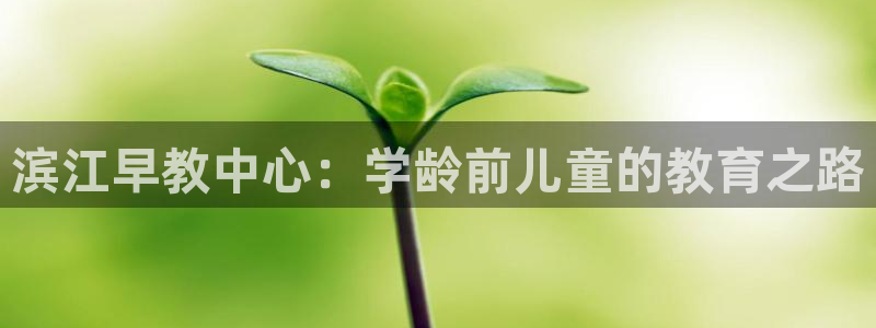 恒行2许74OOO5：滨江早教中心：学龄前儿童的教育之路
