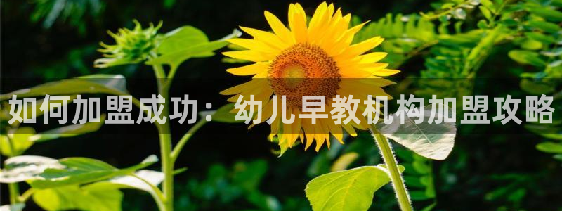 恒行娱乐5ll533主管正直：如何加盟成功：幼儿早教机构加盟攻略