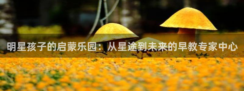 恒行登录就搜6ll5l：明星孩子的启蒙乐园：从星途到未来的早教专家中心