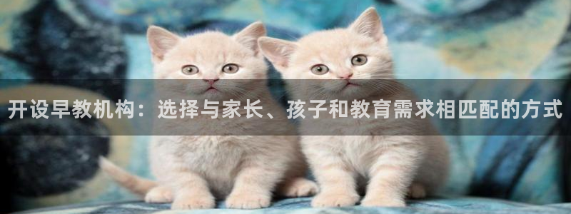 恒行娱乐蒋74OOO5：开设早教机构：选择与家长、孩子和教育需求相匹配的方式