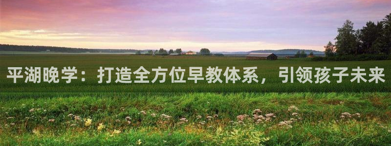 恒行开户娱乐6ll5l特惠：平湖晚学：打造全方位早教体系，引领孩子未来