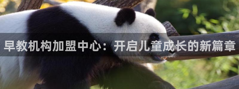 恒行娱乐5ll533主管优雅：早教机构加盟中心：开启儿童成长的新篇章