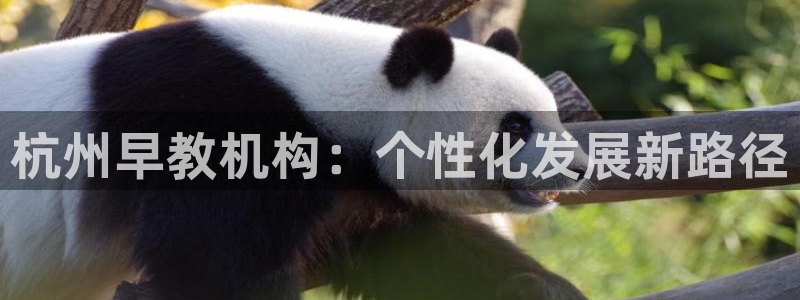 恒行5：杭州早教机构：个性化发展新路径