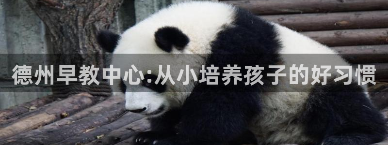 恒行主管首问6ll5l：德州早教中心:从小培养孩子的好习惯