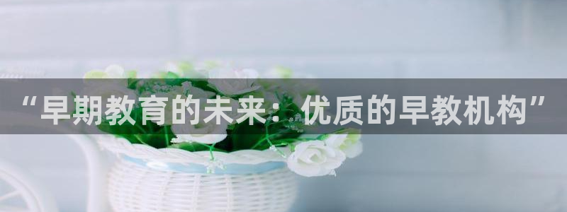 恒行娱乐郑74OOO5：“早期教育的未来：优质的早教机构”