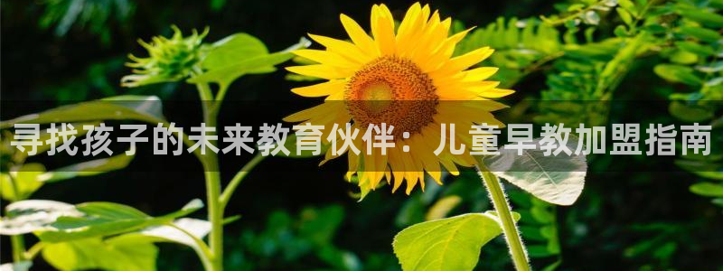 恒行娱乐登录5ll533主管一流：寻找孩子的未来教育伙伴：儿童早教加盟指南