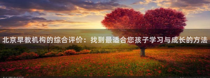 恒行娱乐卫74OOO5：北京早教机构的综合评价：找到最适合您孩子学习与成长的方法