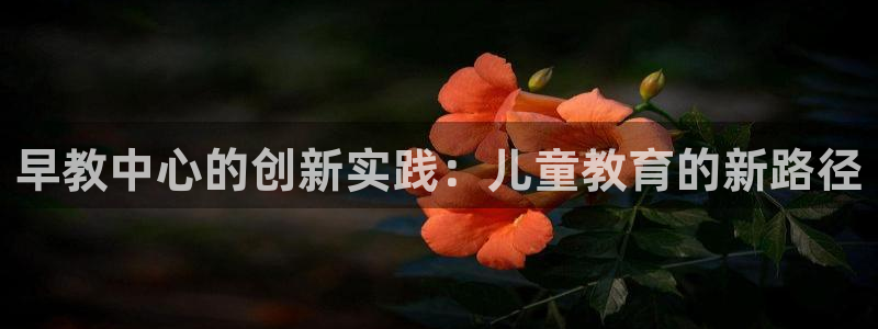 恒行娱乐河沂74ooo5程：早教中心的创新实践：儿童教育的新路径
