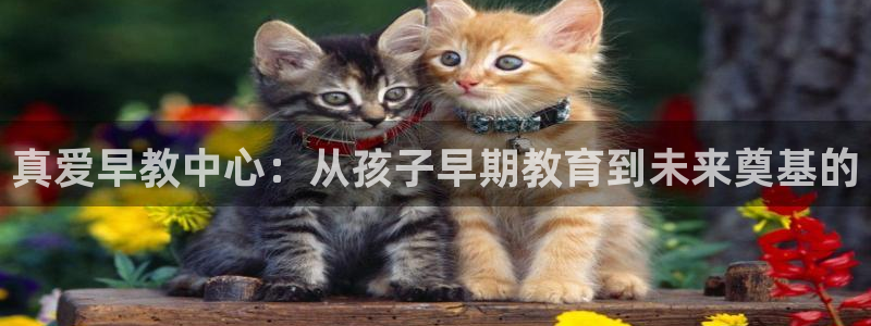 恒行娱乐见5ll533主管：真爱早教中心：从孩子早期教育到未来奠基的