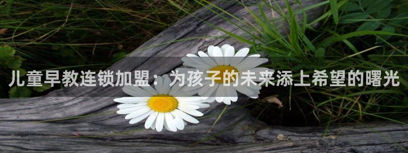 恒行2吴74OOO5：儿童早教连锁加盟：为孩子的未来添上希望的曙光