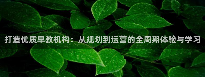 恒行2吴74OOO5：打造优质早教机构：从规划到运营的全周期体验与学习