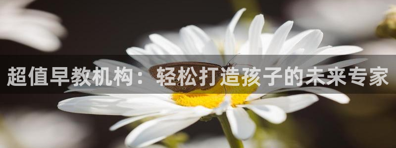 恒行开户娱乐赞议6ll5l：超值早教机构：轻松打造孩子的未来专家