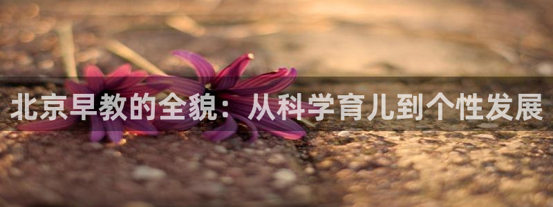 恒指5行情 如来再我心：北京早教的全貌：从科学育儿到个性发展